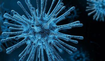 Creada la primera forma de vida inmune a los virus