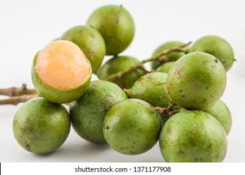 Niño de tres años se asfixia con semilla de limoncillo