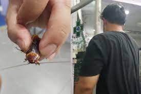Hombre lleva una cucaracha herida al medico