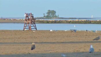 Rayo mata joven en playa en El Bronx