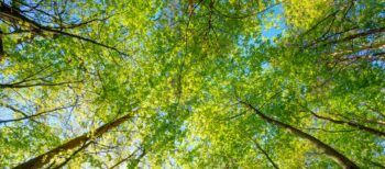 La contaminación del aire provoca la muerte de unas 7 millones de personas cada año