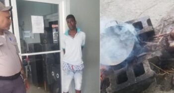 A la cárcel hombre que mató dos perros y se lo comió Moca