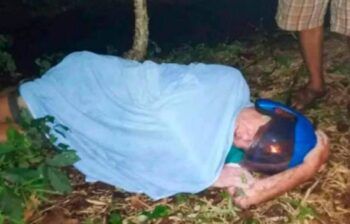 Fue a un bar a tomar cerveza y terminó en una jungla