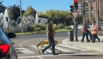 Mujer pasea por las calles un perro robot valorado en mas de 4 millones de pesos 