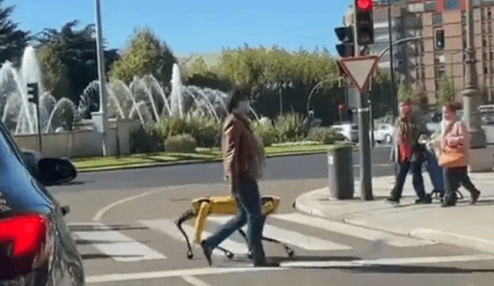 Mujer pasea por las calles un perro robot valorado en mas de 4 millones de pesos