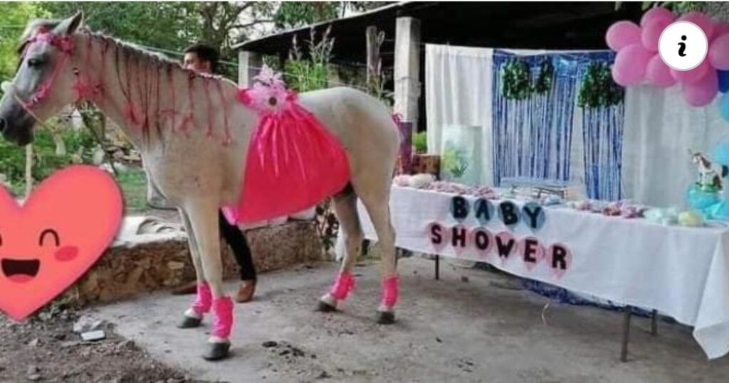 Organizan Baby Shower a una yegua