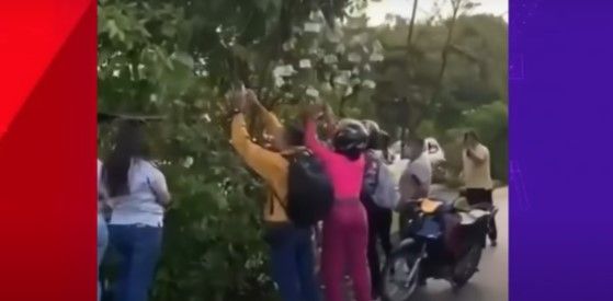 Aparece una mata llena de dinero en Colombia