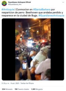 Pueblo sale a las calles a celebrar rescate del perro callejero de la cuadra. Lo habían secuestrado