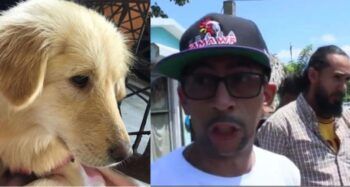 Solicitan tres meses de prisión preventiva contra hombre acusado de matar perrita en Moca