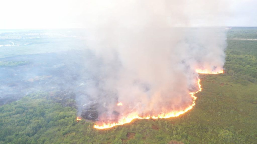 Incendio forestal en Cap Cana