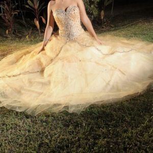 Joven muere durante el baile de sus 15 años