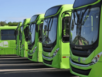 OMSA dará servicio de transporte a fanáticos que acudirán a Serie del Caribe