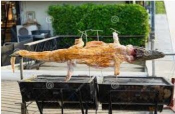 Se dispara la demanda de carne de cocodrilo en Tailandia