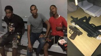 Apresan hombres que mataron tres perros para robar en residencia