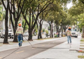 EDESUR energiza lámparas del Bulevar de las Estrellas en la Av. Winston Churchill