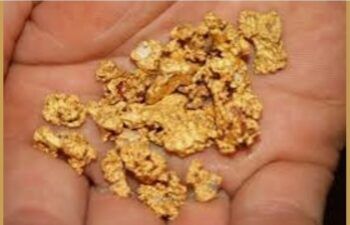 Nuestro cuerpo expulsa oro y plata