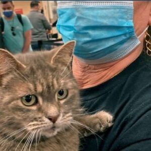 Encontró a su gato después de seis años perdido