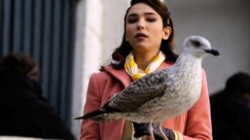 Arman a los turistas con pistolas de agua para luchar contra las agresivas gaviotas