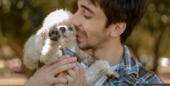 Hombre cancela boda porque su novia casi mata a su perro