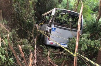 Siete muertos durante accidente vial en Brasil