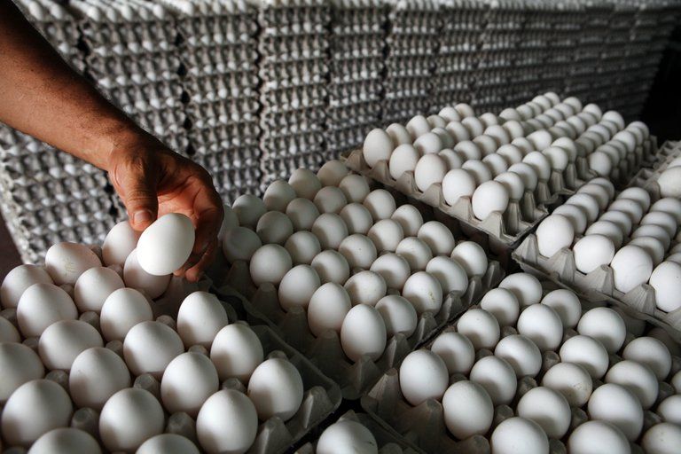 Inespre venderá huevos a RD$3
