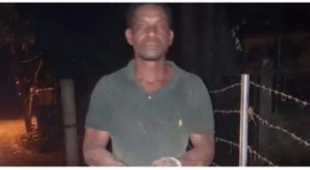 Haitiano es sorprendido teniendo relaciones sexuales con una vaca