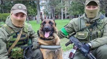 El mejor perro de las tropas rusas cambia de bando y ahora defiende a Ucrania
