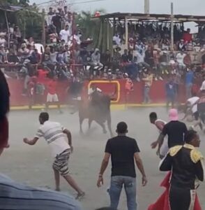 Un herido durante corridas de toros en El Seibo