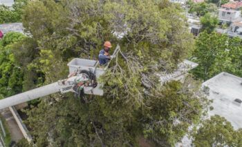 Edesur lanza su plan de contingencia para la Temporada Ciclónica 2022