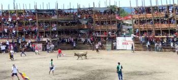 Cinco muertos y más de 60 heridos tras desplomarse parte de una plaza de toros en Colombia
