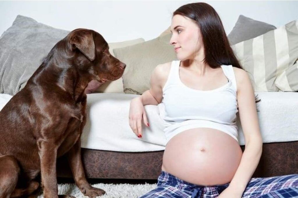 Le puso a su perro el nombre que la amiga embarazada había elegido para su bebé