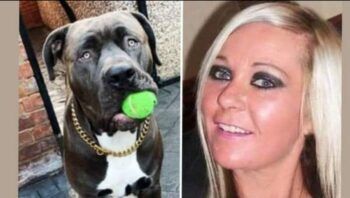 Un perro “del tamaño de un león” mató salvajemente a su dueña