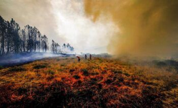 Portugal amanece en alerta y con incendios activos