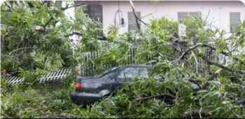 Mueren cuatro turistas de Nueva York en Puerto Rico