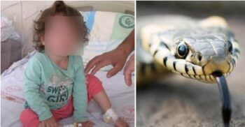 Niña mata a mordida una serpiente en Turquía