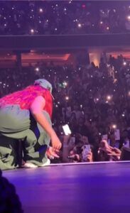 Fanática arrebata micrófono a Karol G en pleno concierto