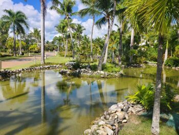 Siguen las temperaturas calurosas y algunos chubascos y tronadas dispersas