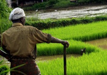 Un agricultor indio se corta la lengua como ofrenda a una diosa