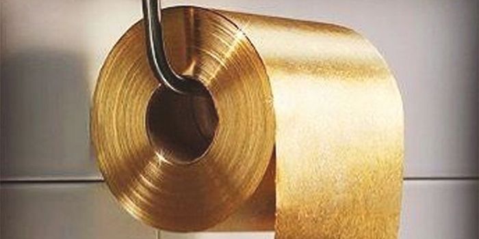 Papel higiénico de oro que cuesta mas de un millon de euros