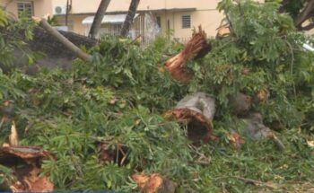 Hombre mata a un vecino por tirarle escombros dejados por Fiona
