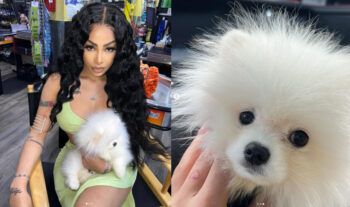 El perro de Yailin ya tiene cuenta de Instagram