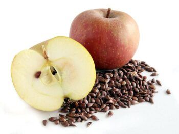 Cuáles son los peligros reales de comer las semillas de las manzanas