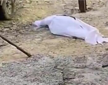 Encuentran cadáver de hombre con varias puñaladas en SDN