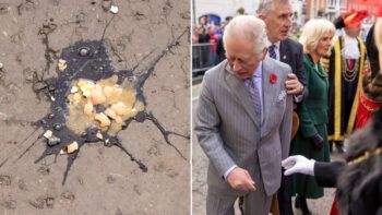 Le tiran huevos al rey Carlos III y a su esposa Camila 