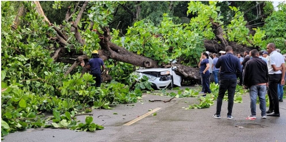 Muere hombre tras caerle árbol a su vehículo