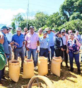 Agricultura inicia siembra de habichuelas en San Juan 