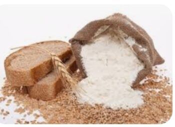 Gobierno suspende temporalmente exportación de harina