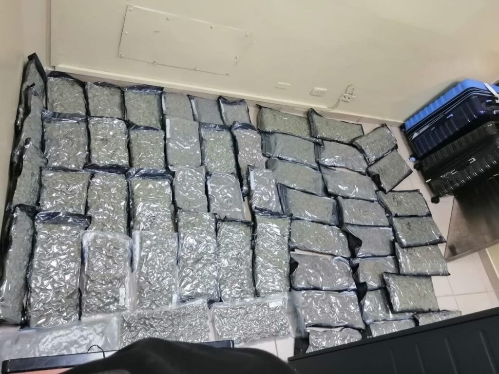 Apresan extranjero en el aeropuerto Cibao con 54 paquetes de presunta marihuana