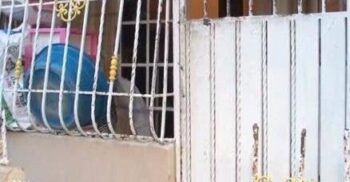 Hombre mata al esposo de su expareja y la hiere a ella embarazada en María Auxiliadora