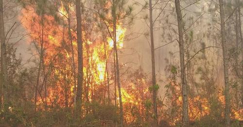 El incendio forestal en Valle Nuevo no se detiene